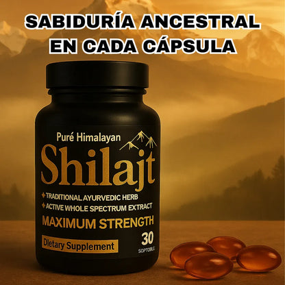 Shilajit Softgels - Energía Pura del Himalaya (30 Softgels)