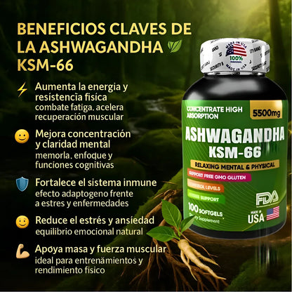 Ashwagandha original KSM66 x100 softgels