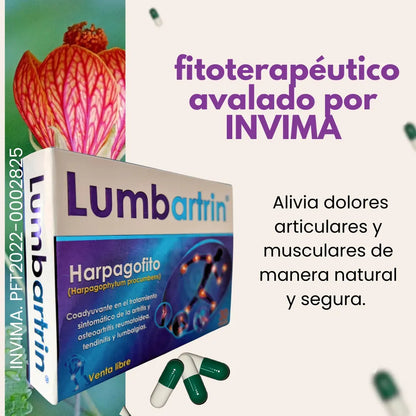 Lumbartrin X 1 Unidad Registro Invima