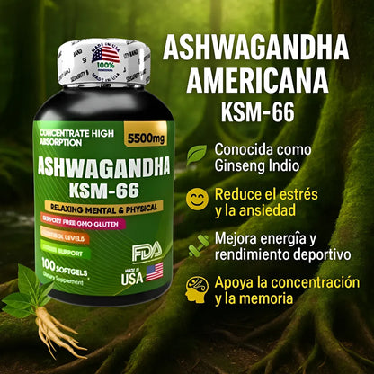 Ashwagandha original KSM66 x100 softgels