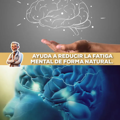 MELENA DE LEÓN CON L-ERGOTIONEÍNA