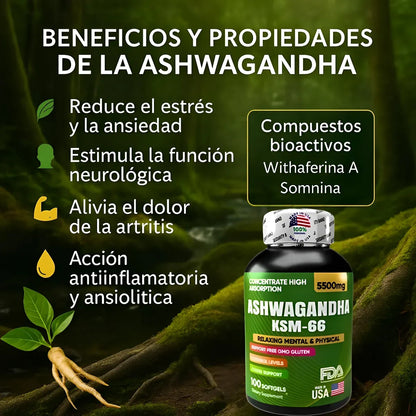 Ashwagandha original KSM66 x100 softgels