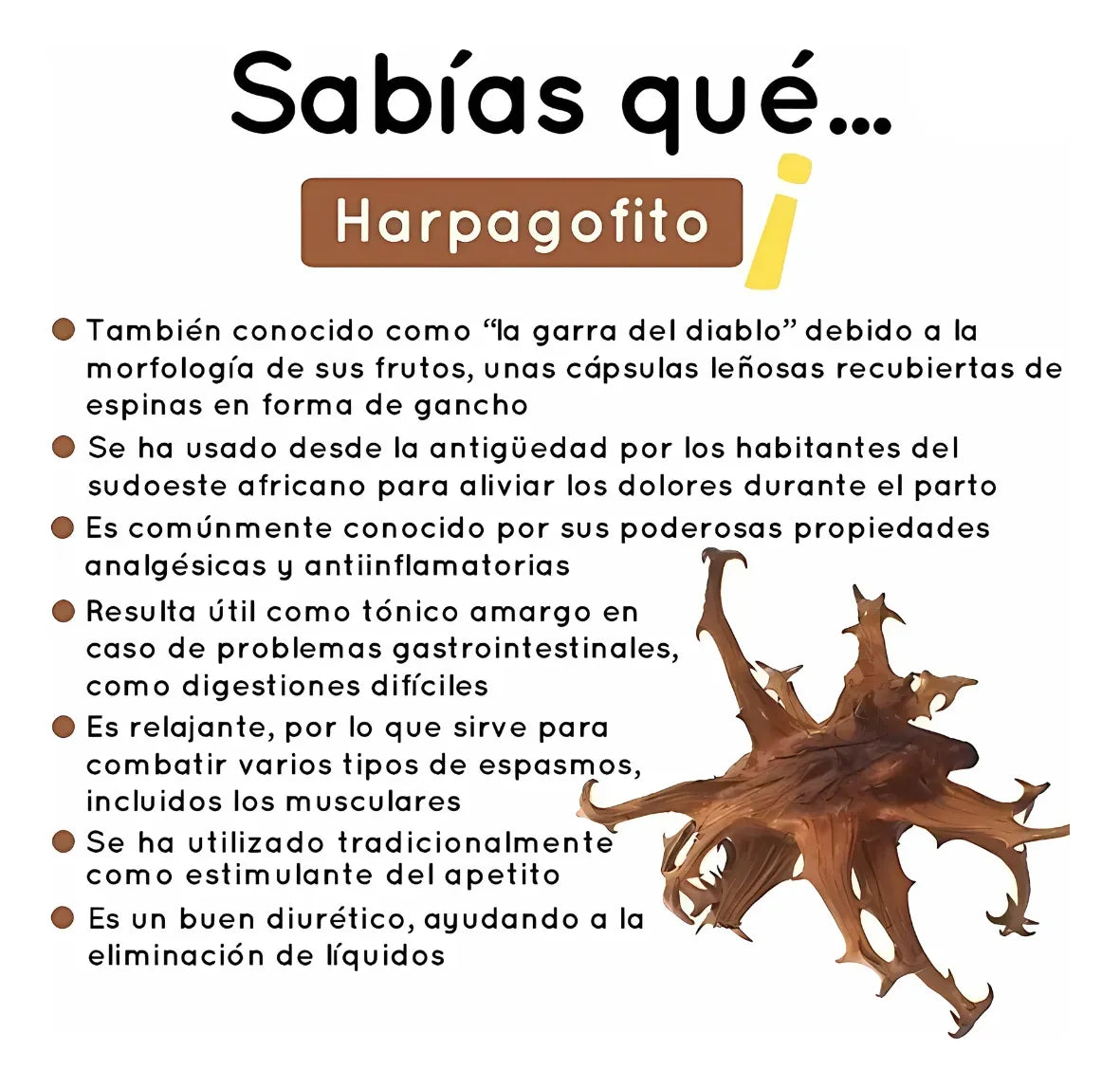 Lumbartrin X 1 Unidad Registro Invima