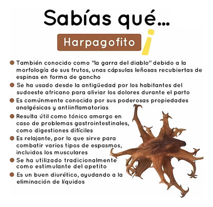 Lumbartrin X 1 Unidad Registro Invima